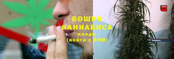 МДПВ Бородино