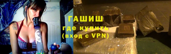 МДПВ Бородино