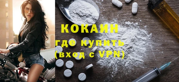МДПВ Бородино