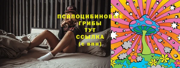 соль ск Бугульма
