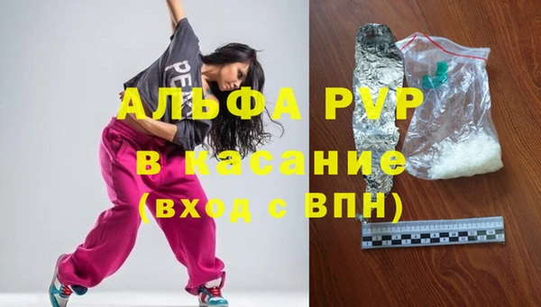 МДПВ Бородино