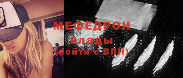 МДПВ Бородино